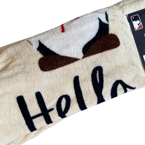 Boston Red Sox MLB 60'' x 70'' Super Soft Plush Hello Fall Throw Blanket NWT - Picture 5 of 8